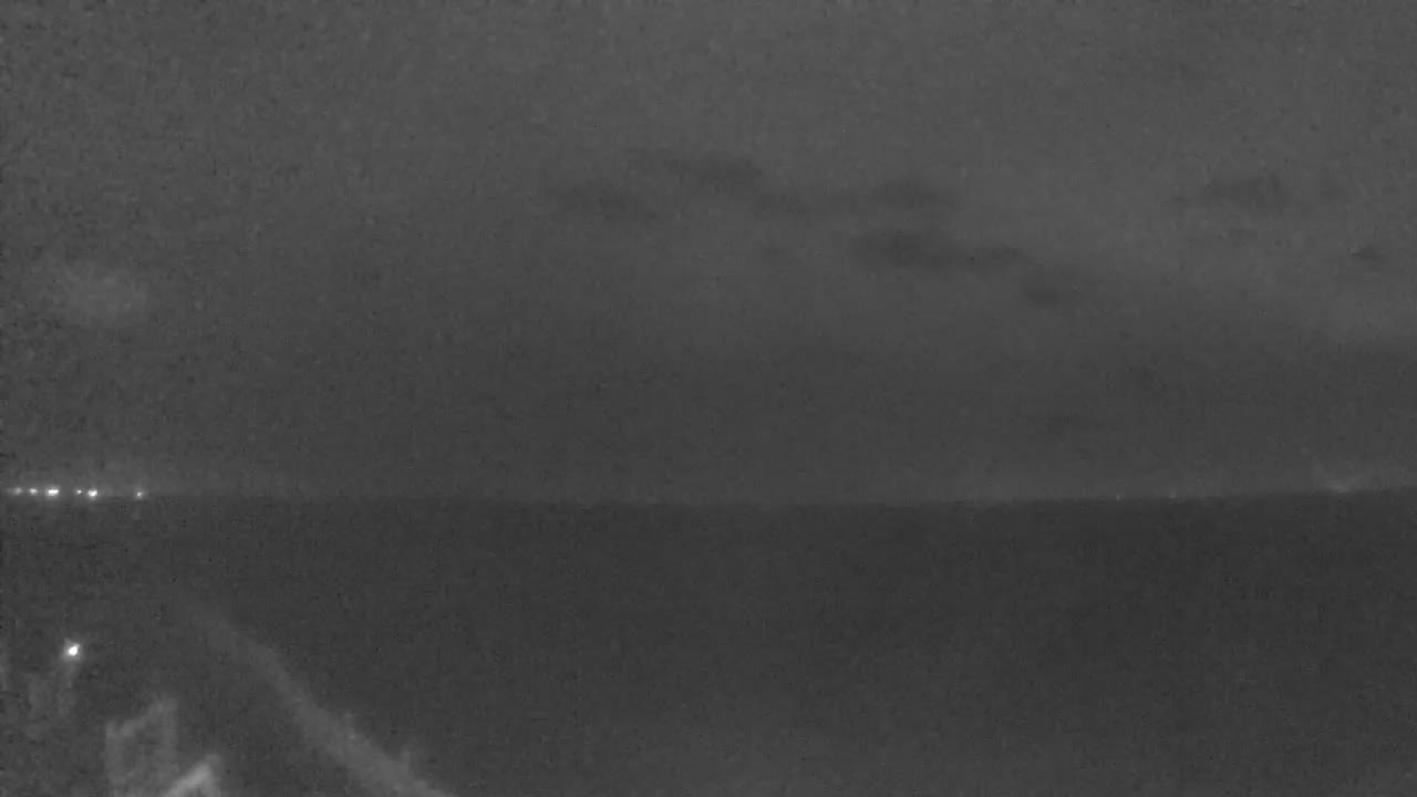 Bolivar Stingaree Restaurant Cam Recording Laura (2020)