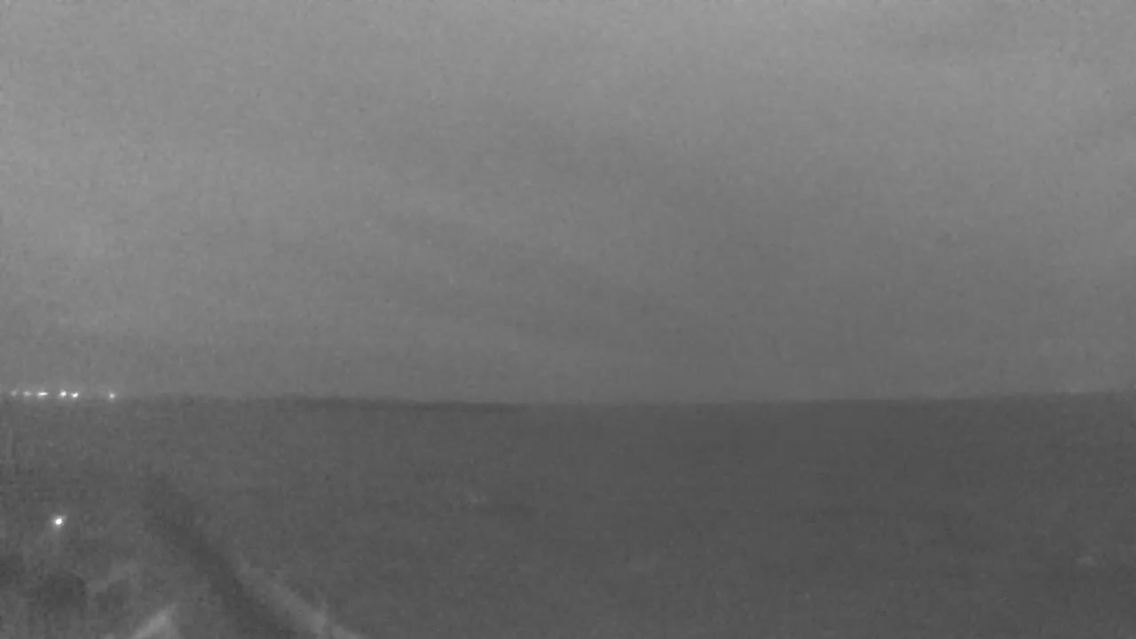 Bolivar Stingaree Restaurant Cam Recording Laura (2020)