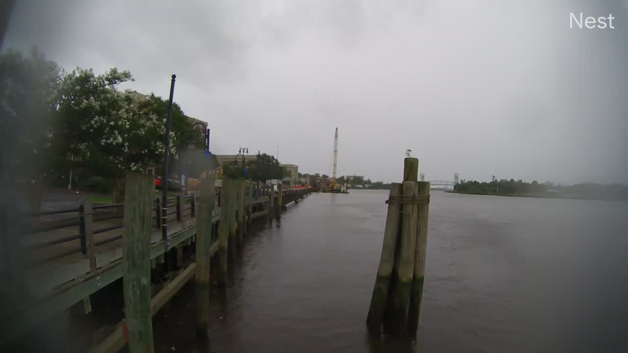 Downtown Wilmington, NC Hurricane Track Cam 5 Recording Isaias (2020)