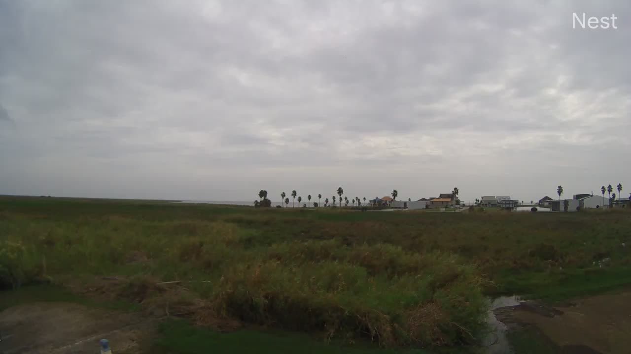 Hurricanetrack.com Cypremort Point Cam Delta (2020)