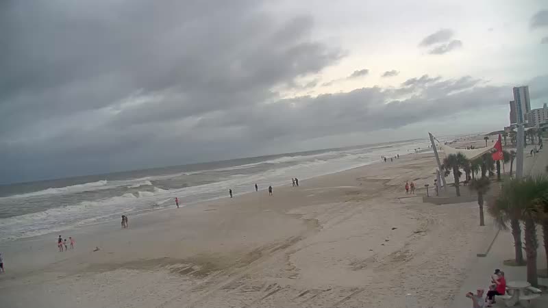 Gulf Shores Sea-N-Suds Cam Sally (2020)