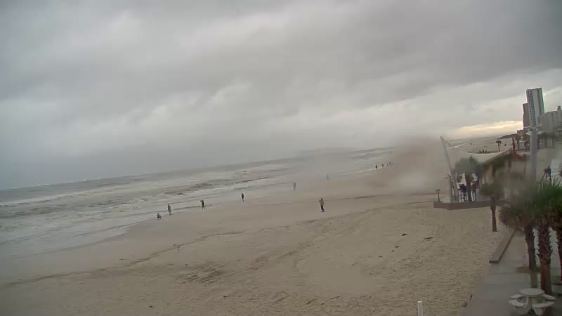 Gulf Shores Sea-N-Suds Cam Sally (2020)