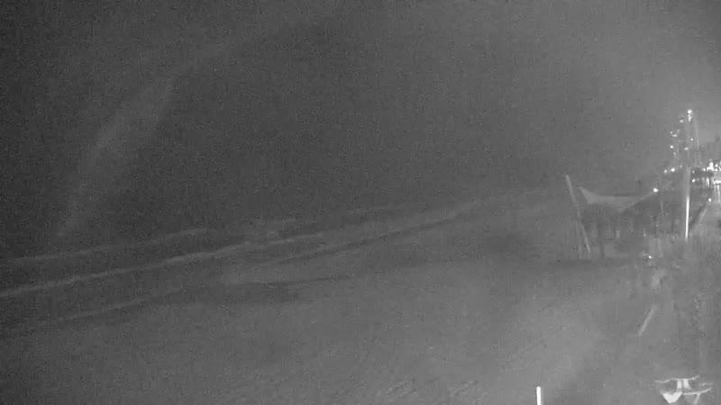 Gulf Shores Sea-N-Suds Cam Sally (2020)