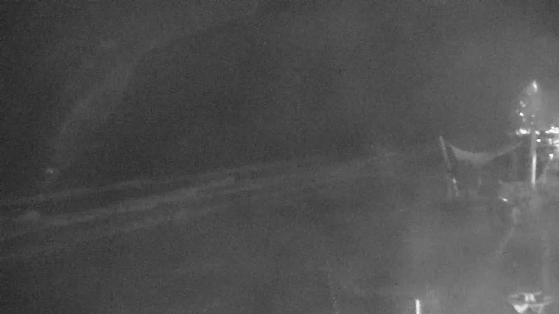Gulf Shores Sea-N-Suds Cam Sally (2020)