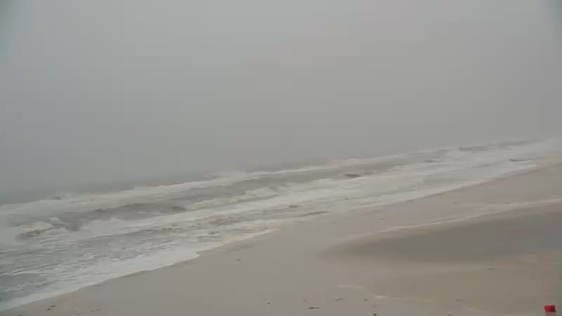 Gulf Shores Sea-N-Suds Cam Sally (2020)