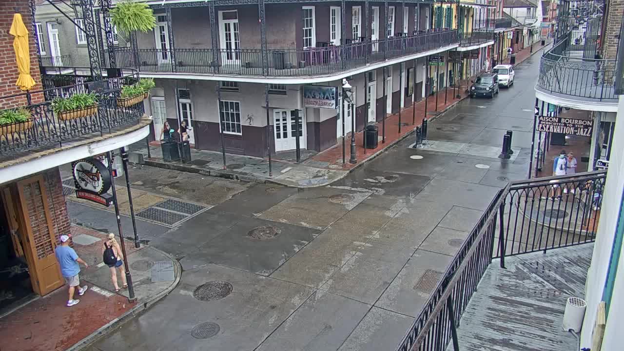 New Orleans Cats Meow Bourbon St Camera for Ida (2021)