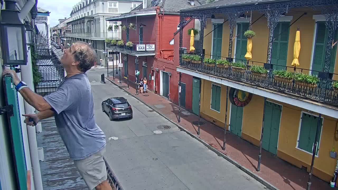 New Orleans Cats Meow Bourbon St Camera for Ida (2021)
