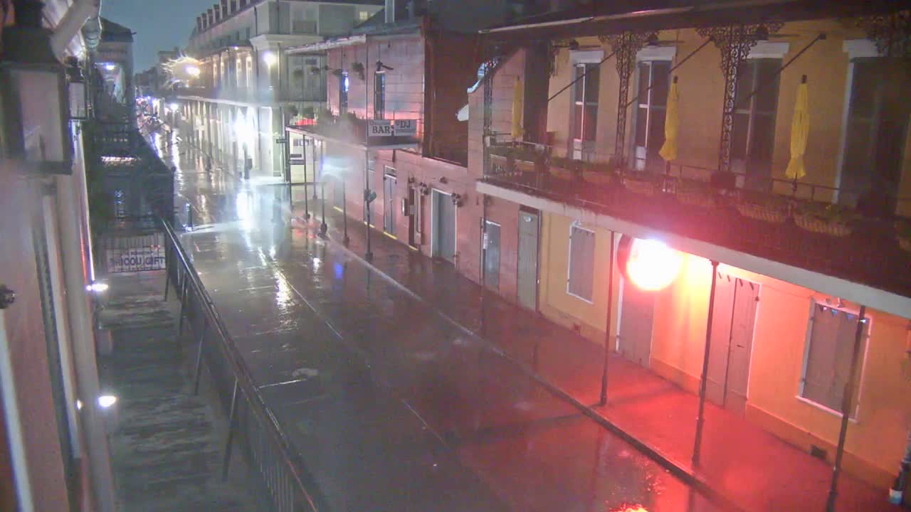 New Orleans Cats Meow Bourbon St Camera for Ida (2021)