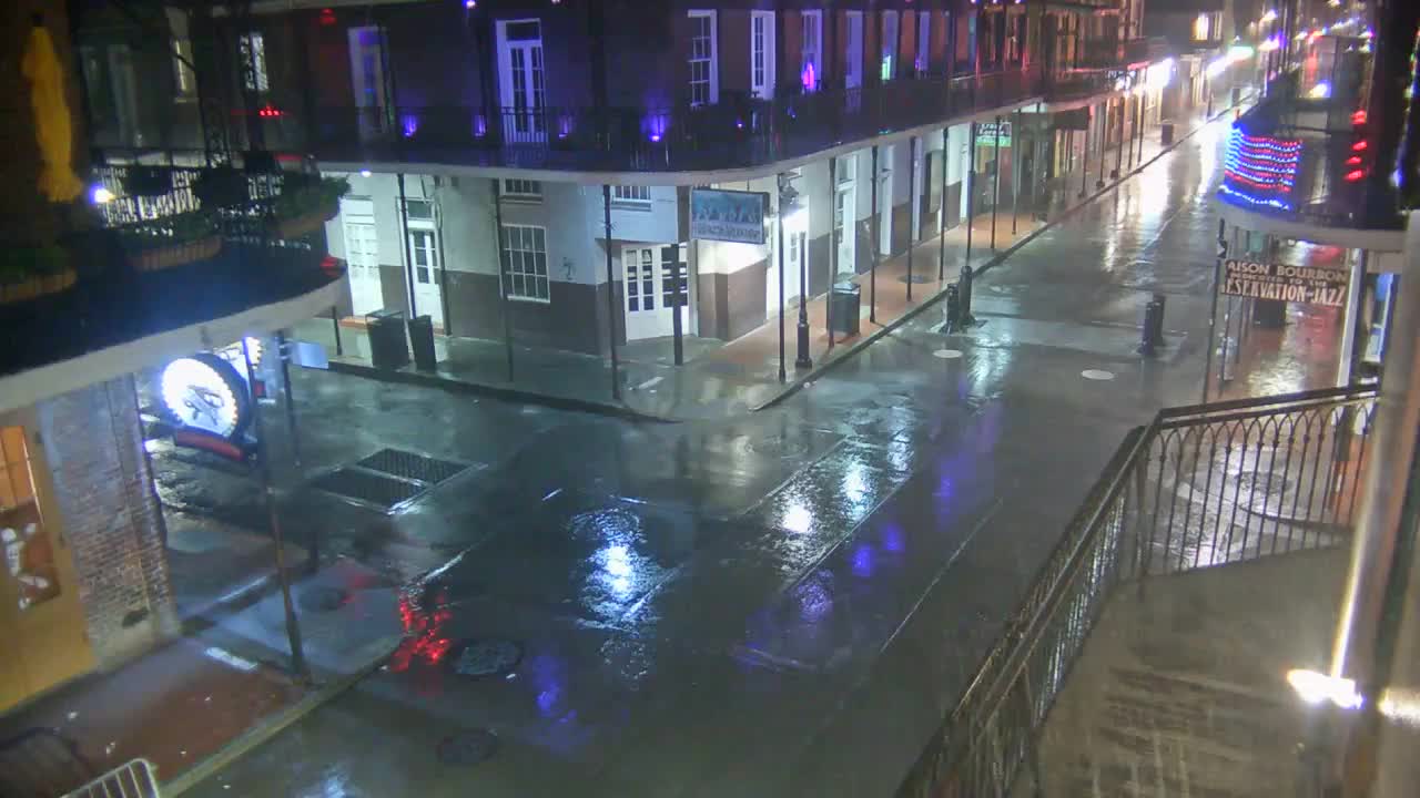 New Orleans Cats Meow Bourbon St Camera for Ida (2021)