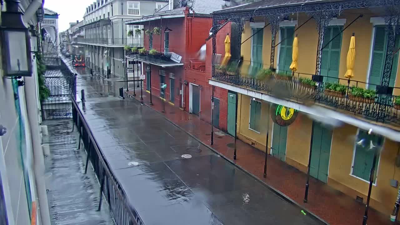 New Orleans Cats Meow Bourbon St Camera for Ida (2021)