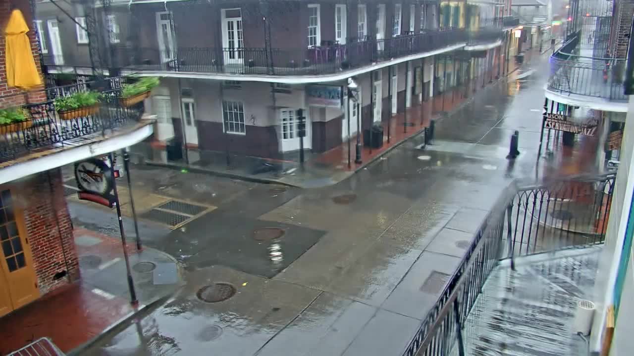 New Orleans Cats Meow Bourbon St Camera for Ida (2021)