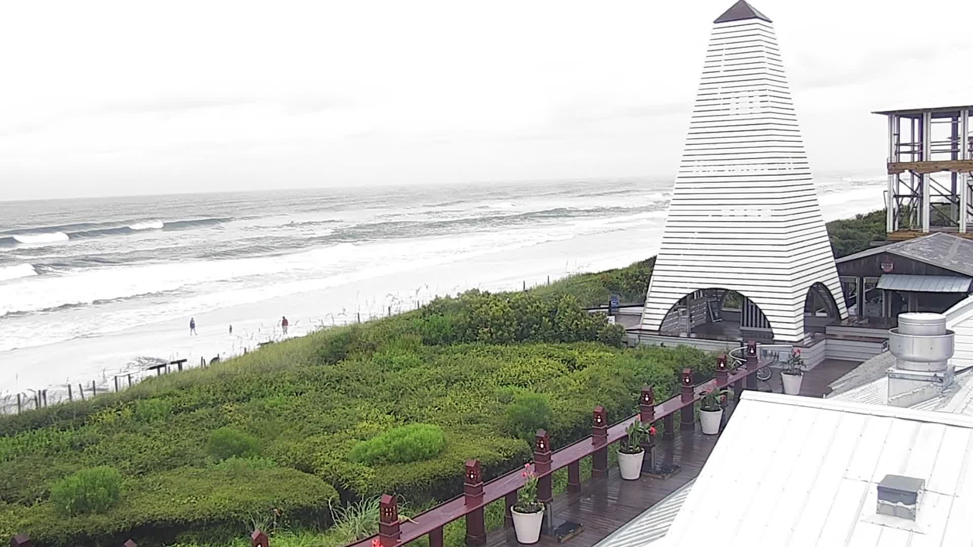 Bud and Alley's Seaside Florida Deck Cam Fred (2021)