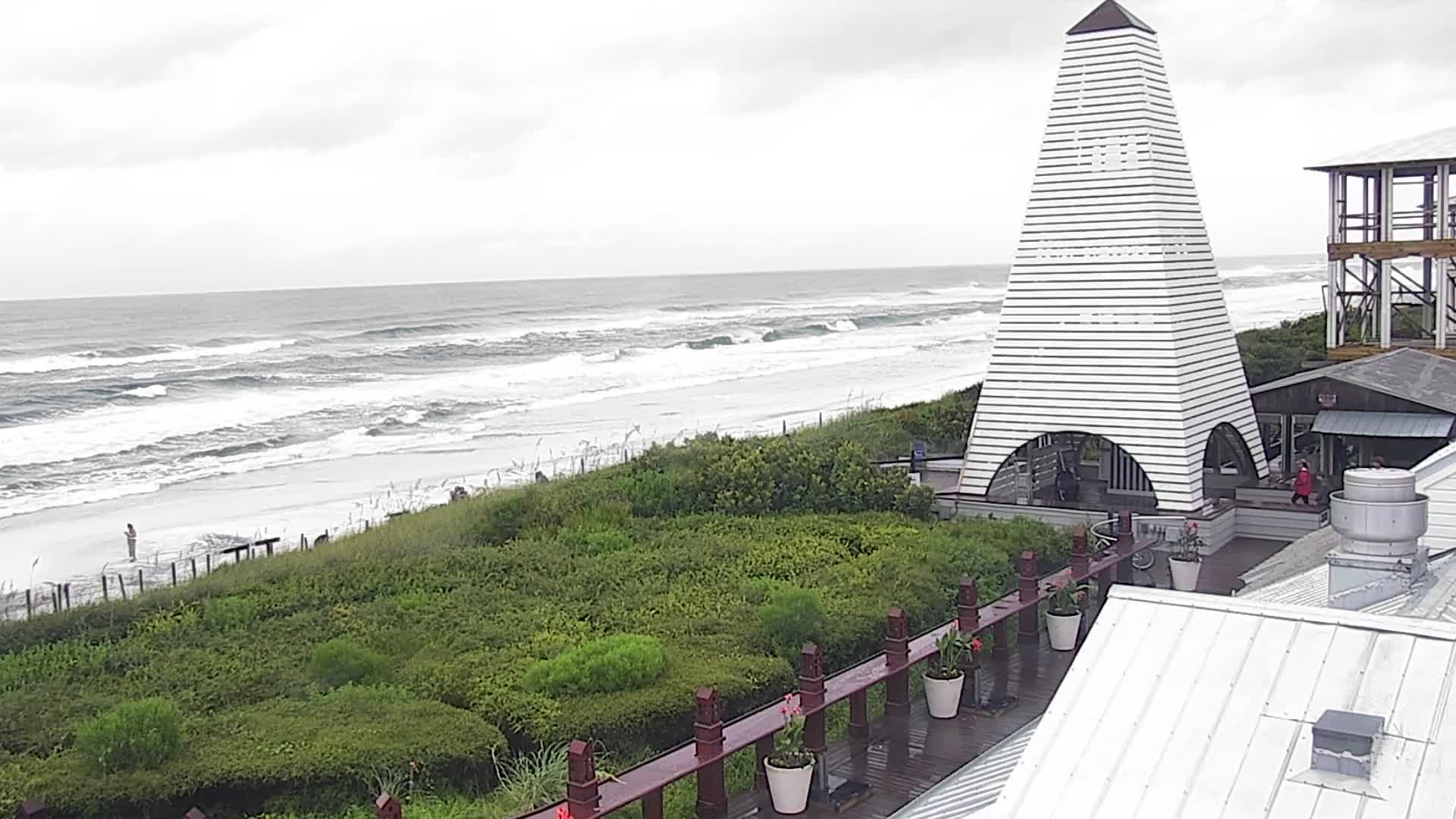 Bud and Alley's Seaside Florida Deck Cam Fred (2021)