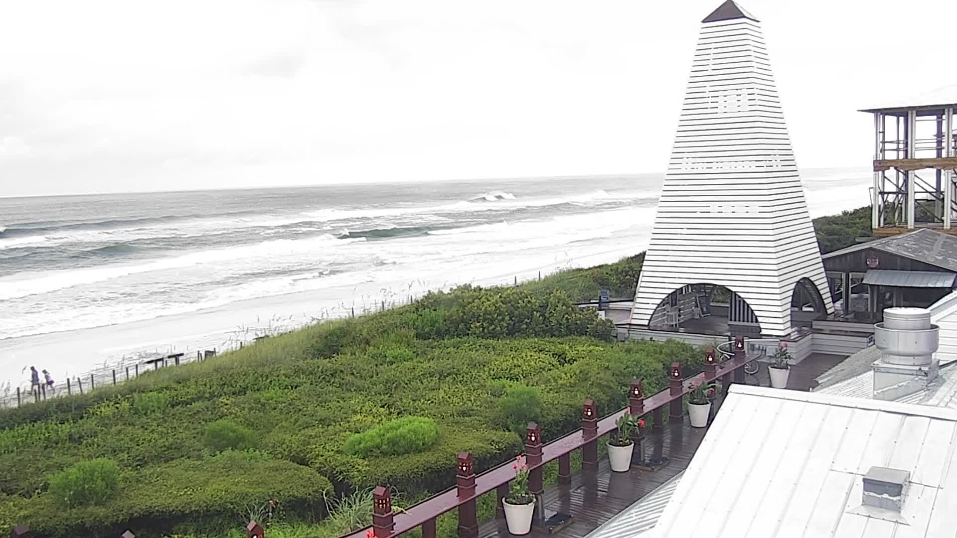 Bud and Alley's Seaside Florida Deck Cam Fred (2021)
