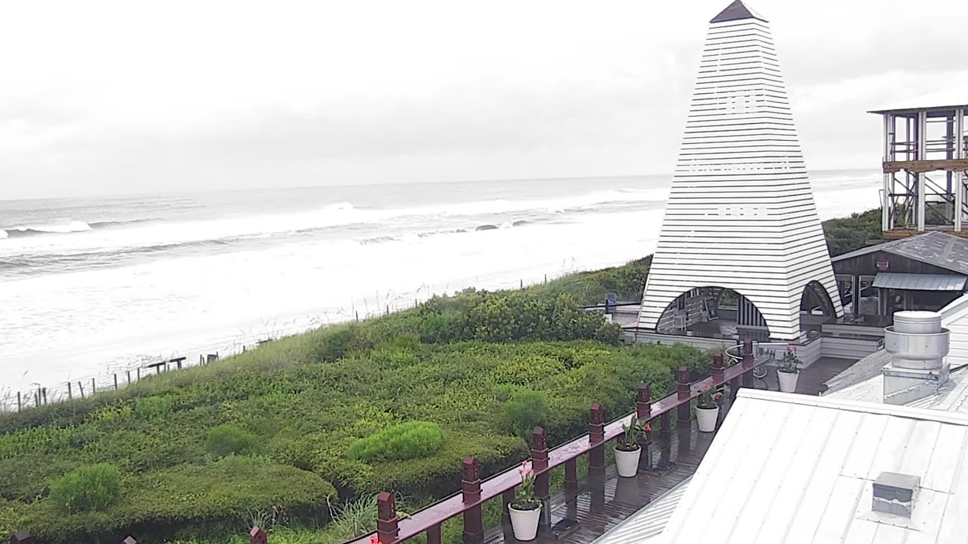 Bud and Alley's Seaside Florida Deck Cam Fred (2021)