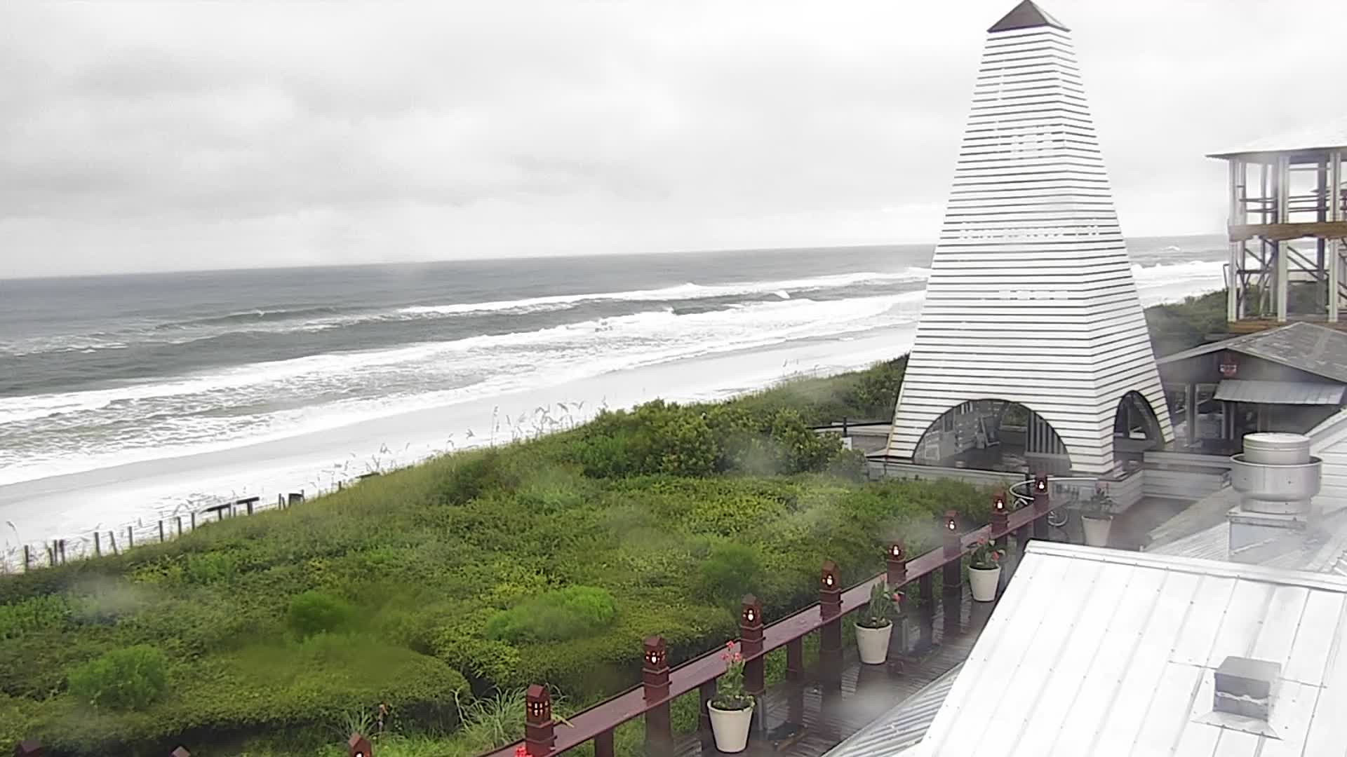 Bud and Alley's Seaside Florida Deck Cam Fred (2021)