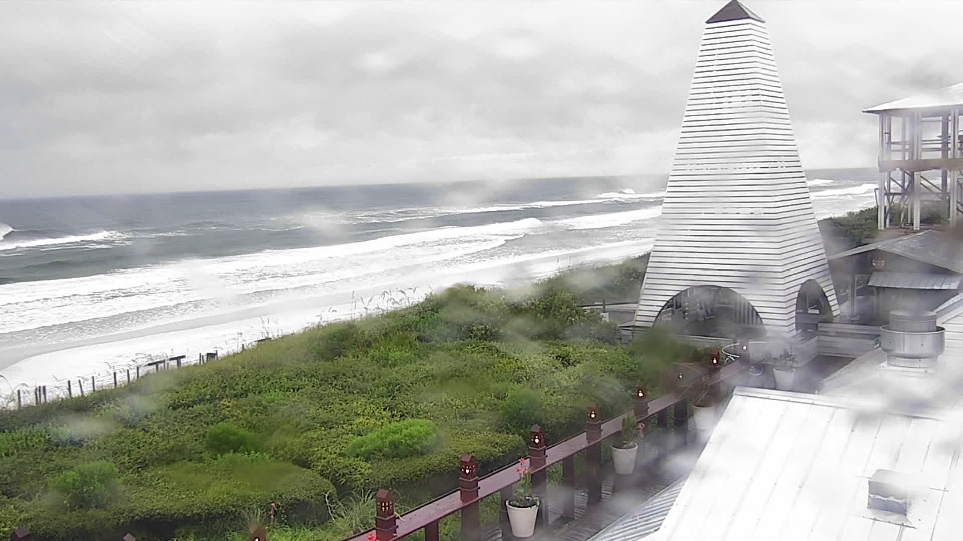 Bud and Alley's Seaside Florida Deck Cam Fred (2021)