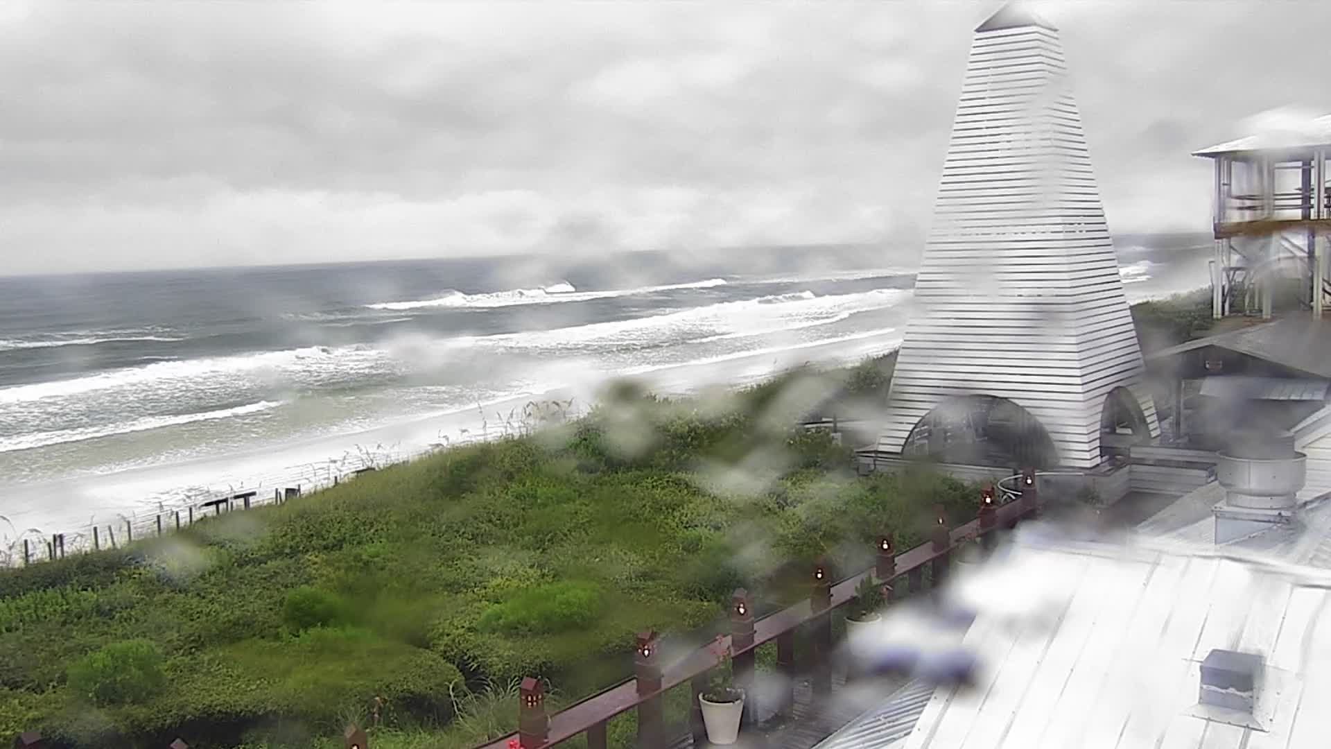 Bud and Alley's Seaside Florida Deck Cam Fred (2021)