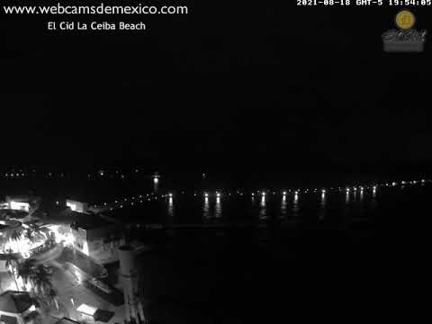 Cozumel El Cid -Grace (2021)