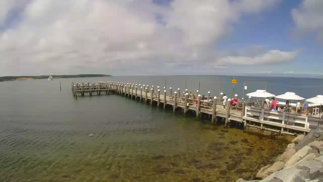 Duryeas Seafood Cam - Montauk Point Henri (2021)