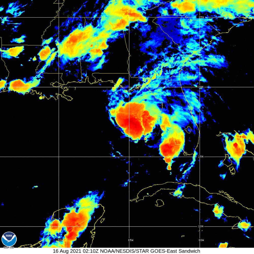 Fred Satellite Image Recording (2021)
