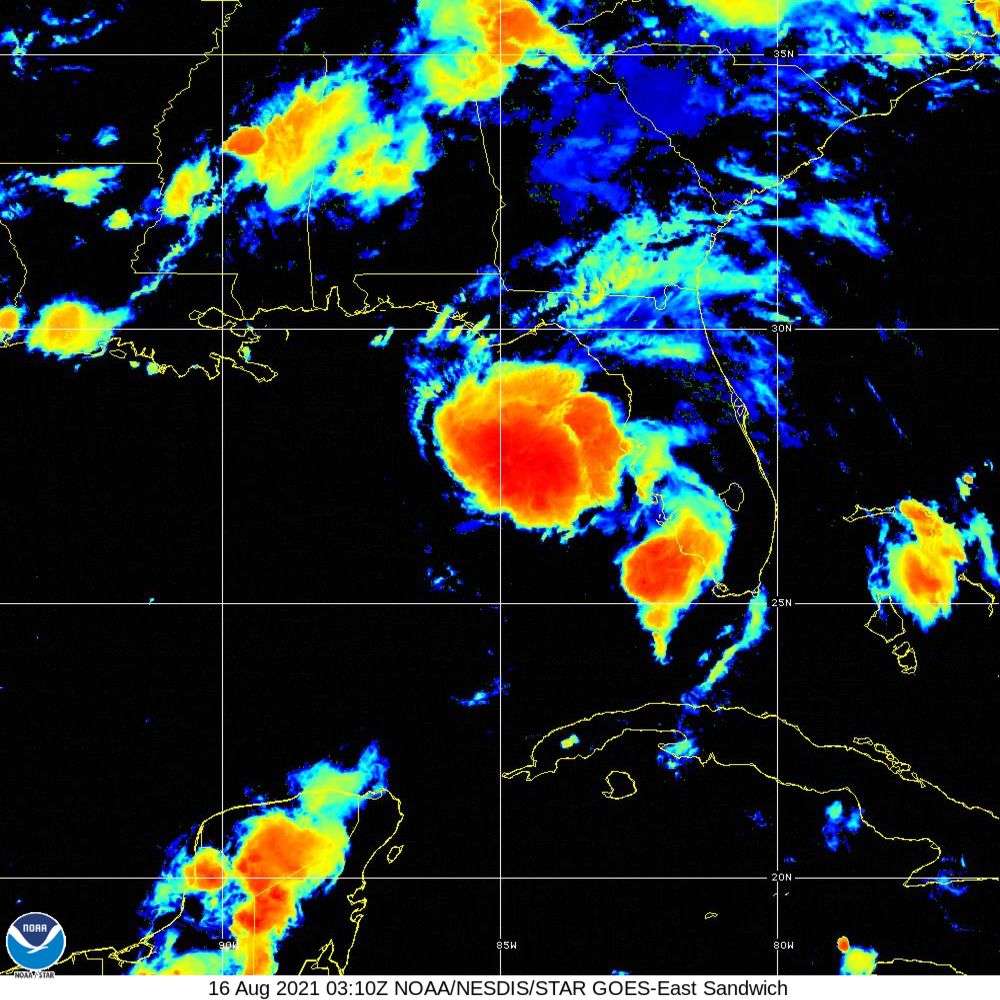 Fred Satellite Image Recording (2021)