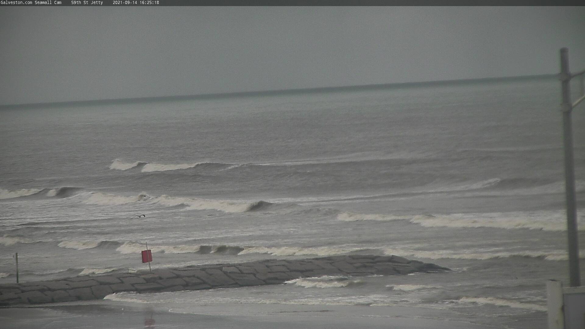 Galveston Seawall Cam - Nicholas (2021)