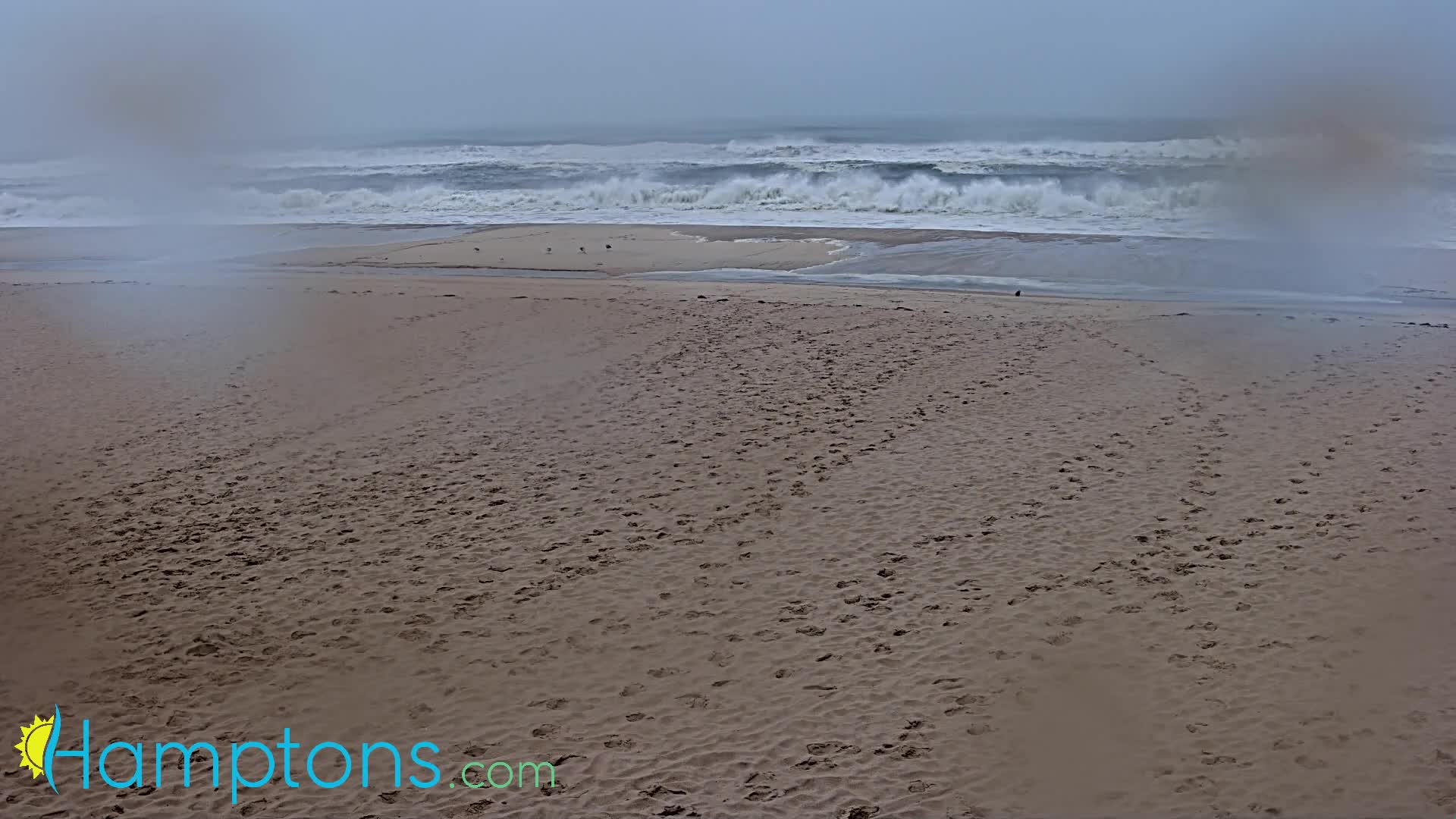 Southamptons Coopers Beach Cam Henri (2021)