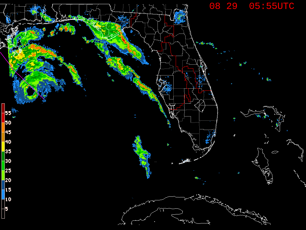Florida Radar Recording From SFWMD for Ida (2021)