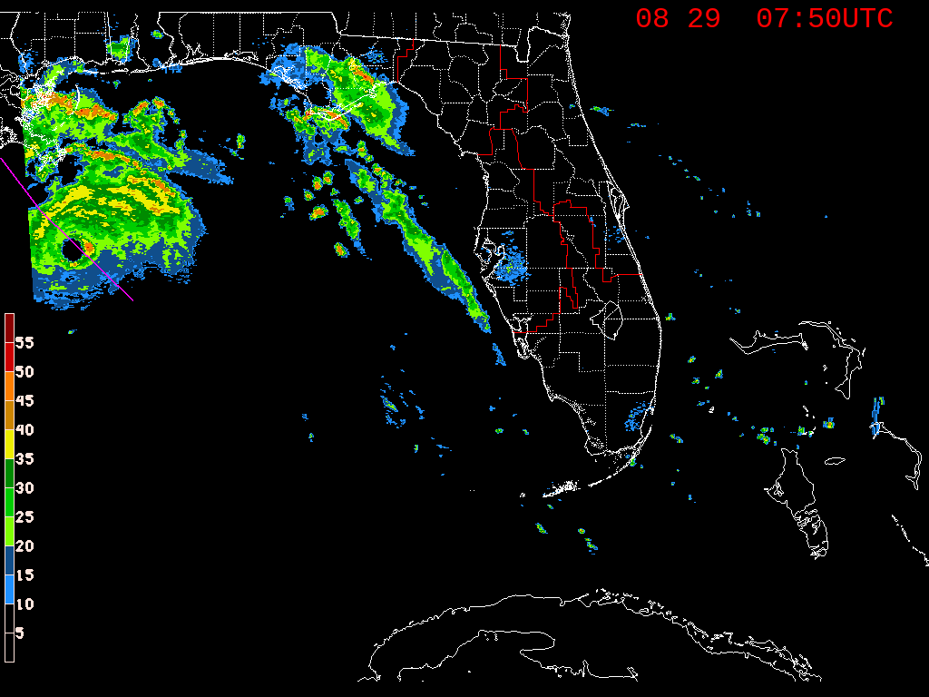 Florida Radar Recording From SFWMD for Ida (2021)