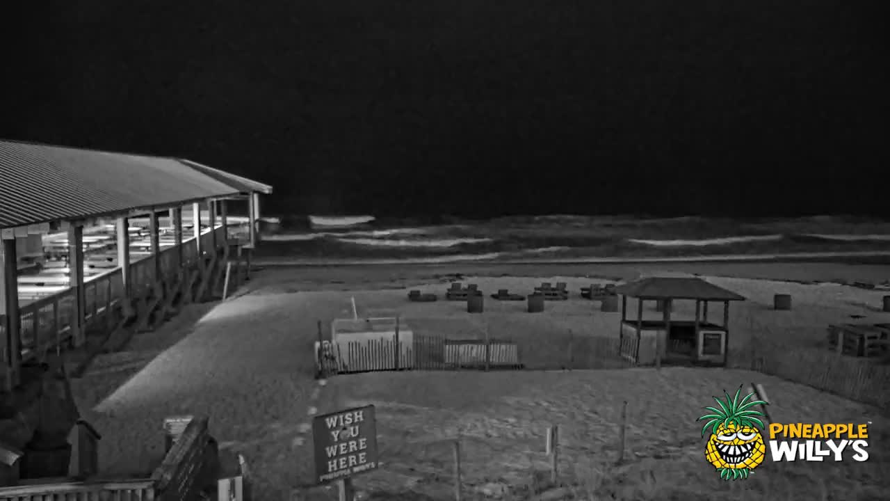 Pineapple Willy's Restaurant PCB Beach Cam Fred (2021)