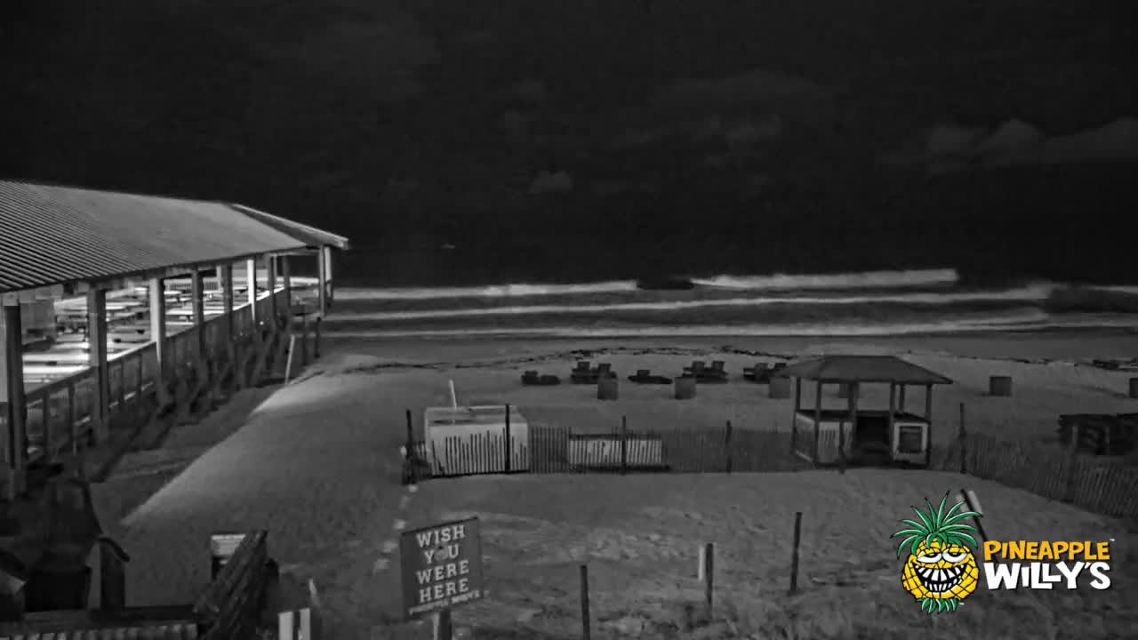 Pineapple Willy's Restaurant PCB Beach Cam Fred (2021)