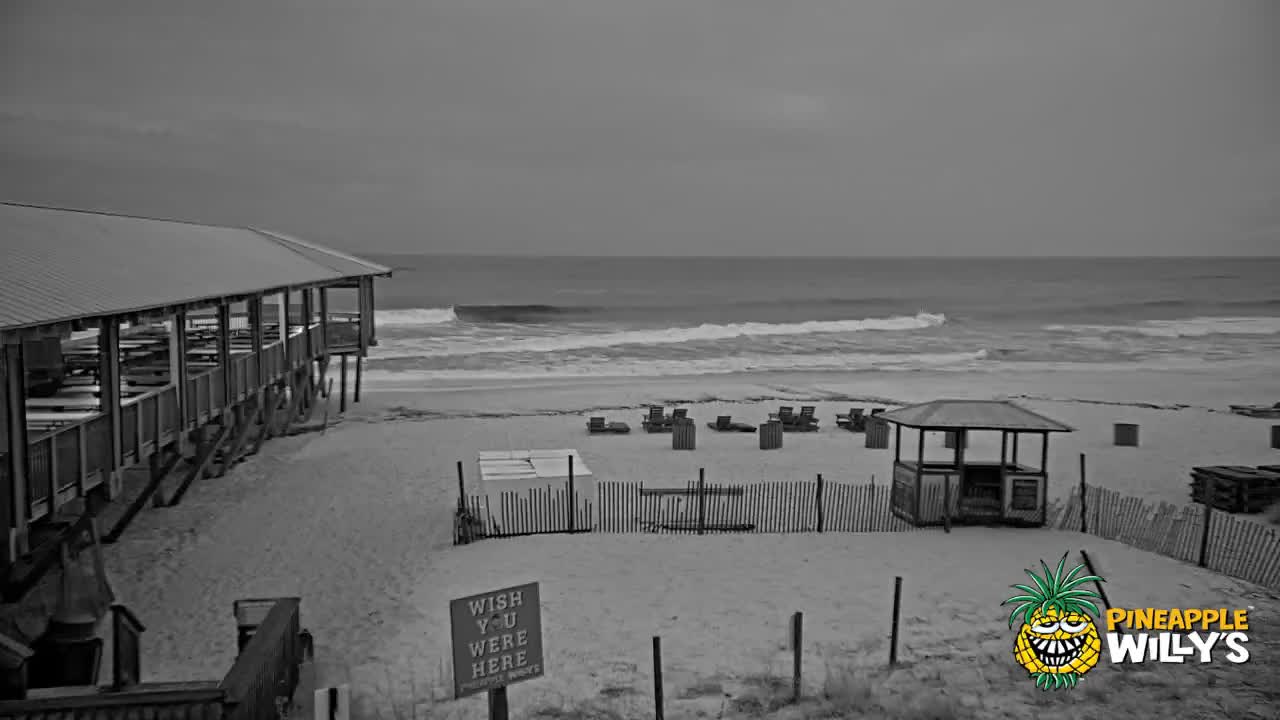 Pineapple Willy's Restaurant PCB Beach Cam Fred (2021)