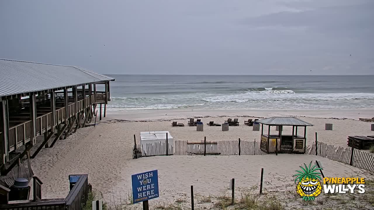 Pineapple Willy's Restaurant PCB Beach Cam Fred (2021)