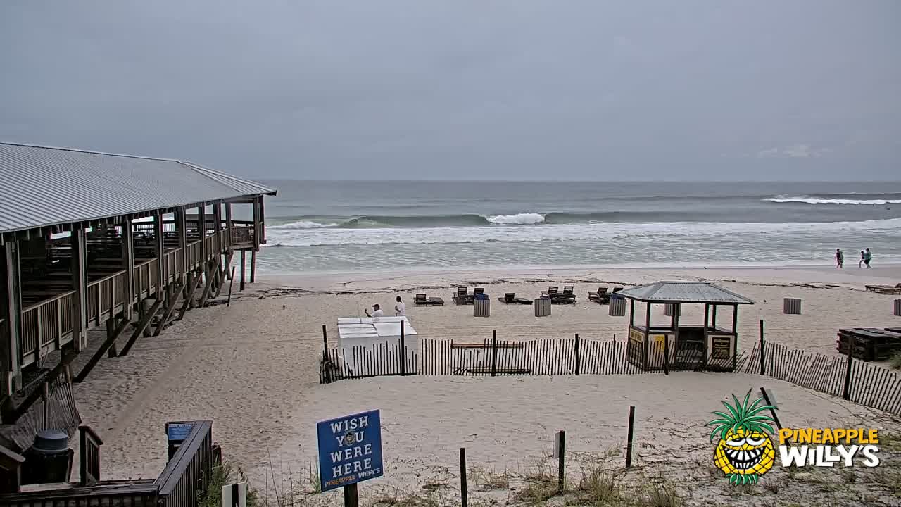 Pineapple Willy's Restaurant PCB Beach Cam Fred (2021)