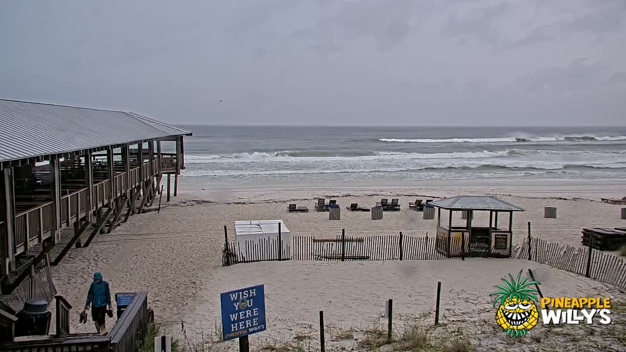 Pineapple Willy's Restaurant PCB Beach Cam Fred (2021)