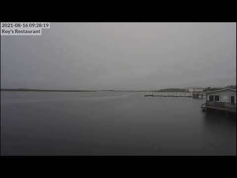 Roys Restaurant Steinhatchee Camera Recording of Fred (2021) Approach