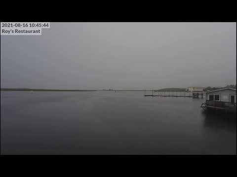 Roys Restaurant Steinhatchee Camera Recording of Fred (2021) Approach