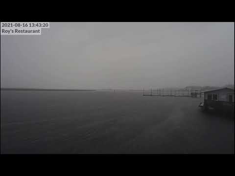 Roys Restaurant Steinhatchee Camera Recording of Fred (2021) Approach