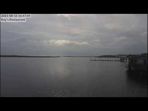 Roys Restaurant Steinhatchee Camera Recording of Fred (2021) Approach