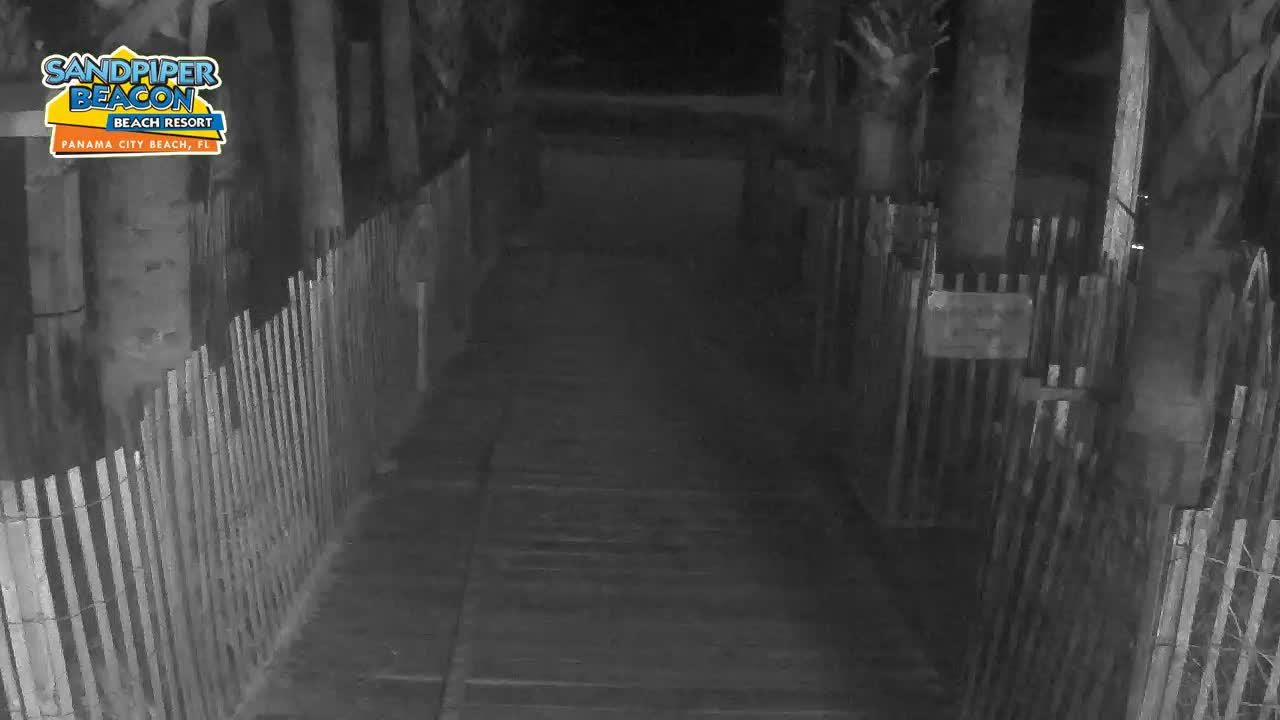 Sandpier Beacon Beach Resort Cam, PCB Fred (2021)