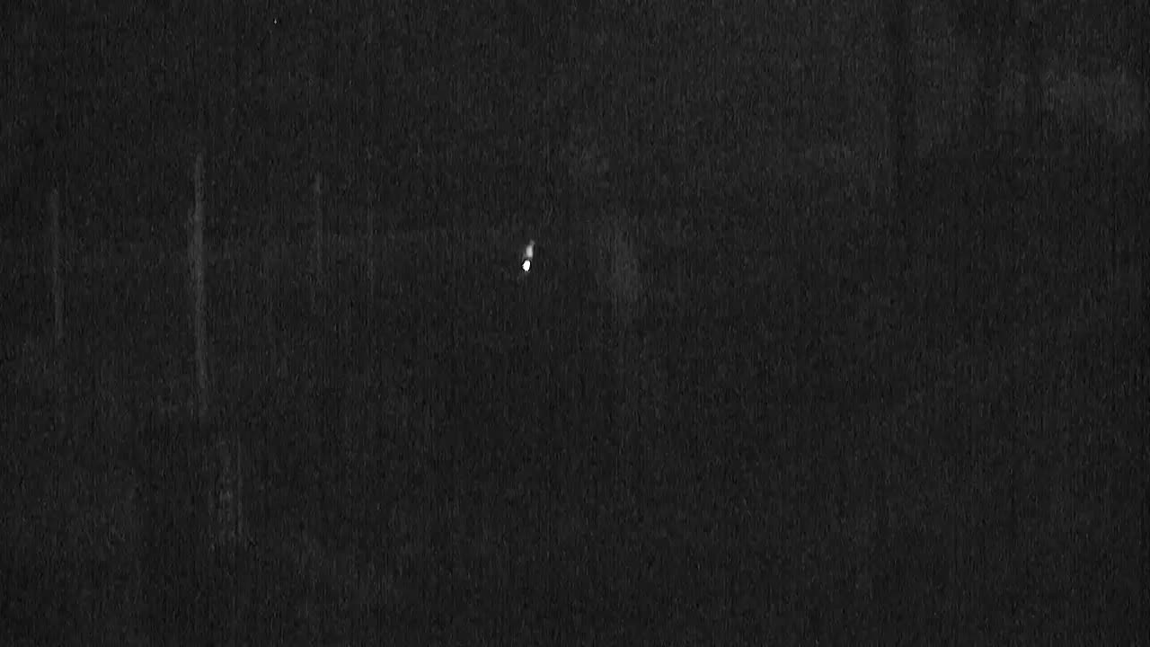 Schooners Beach Club PCB Cam Fred (2021)