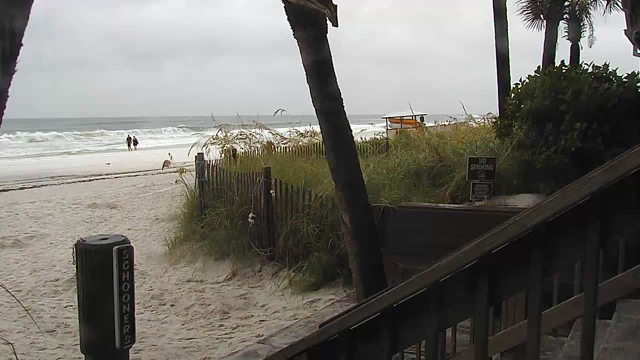 Schooners Beach Club PCB Cam Fred (2021)