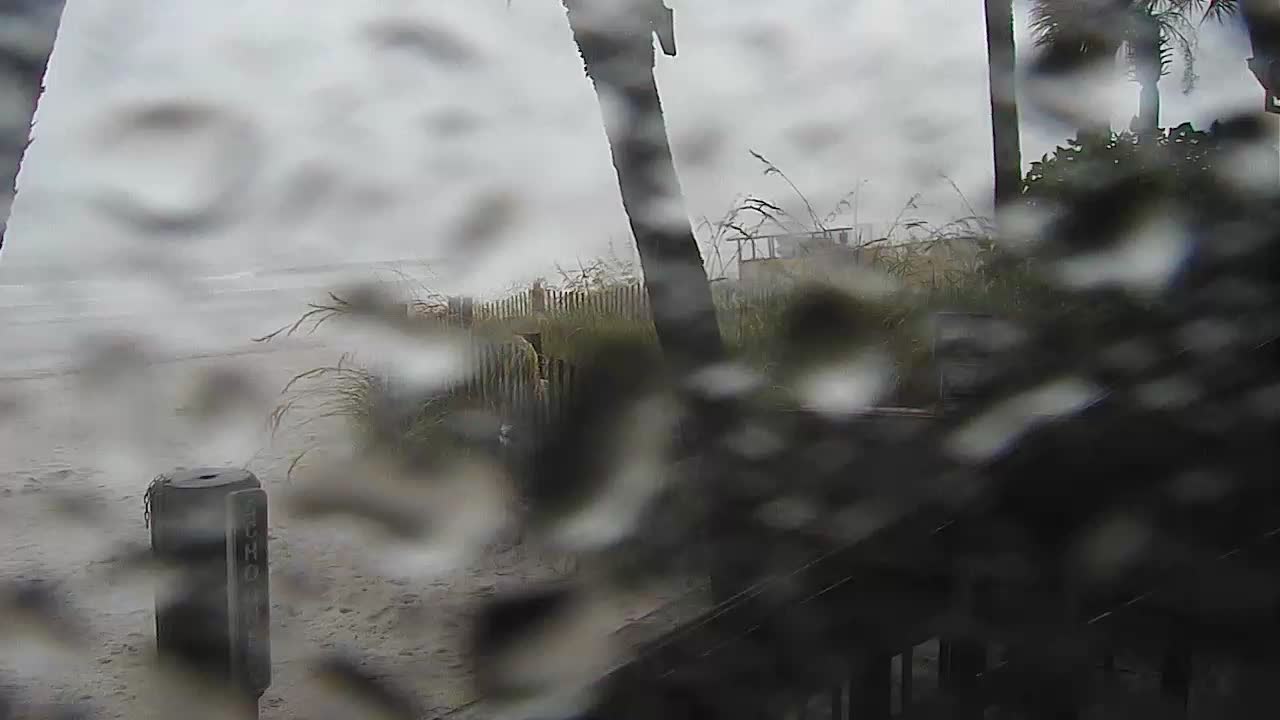 Schooners Beach Club PCB Cam Fred (2021)