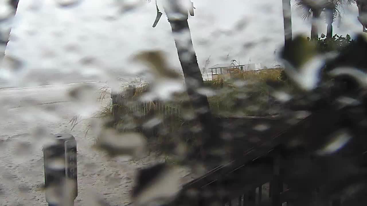 Schooners Beach Club PCB Cam Fred (2021)