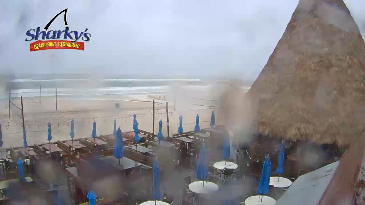 Sharky's Beachfront Restaurant PCB Deck Cam Fred (2021)