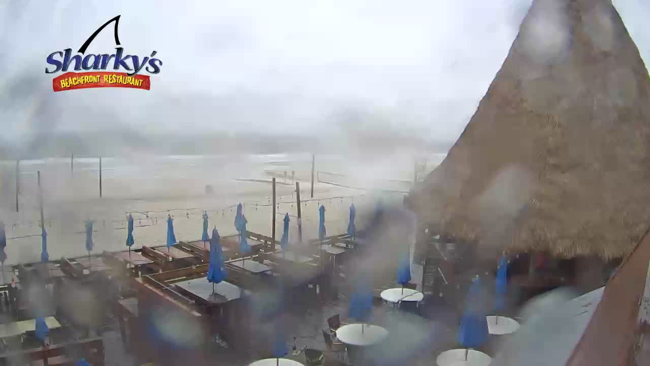 Sharky's Beachfront Restaurant PCB Deck Cam Fred (2021)