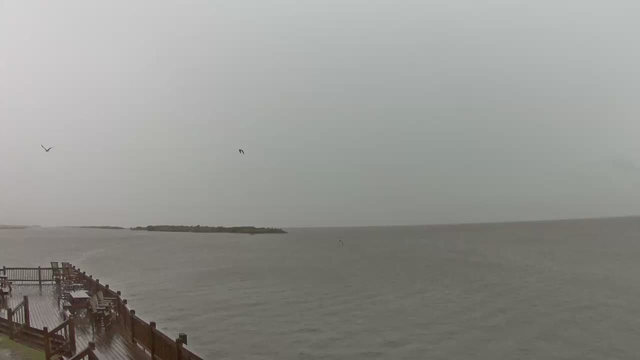 Bolivar Stingaree Restaurant Cam Recording Nicholas (2021)