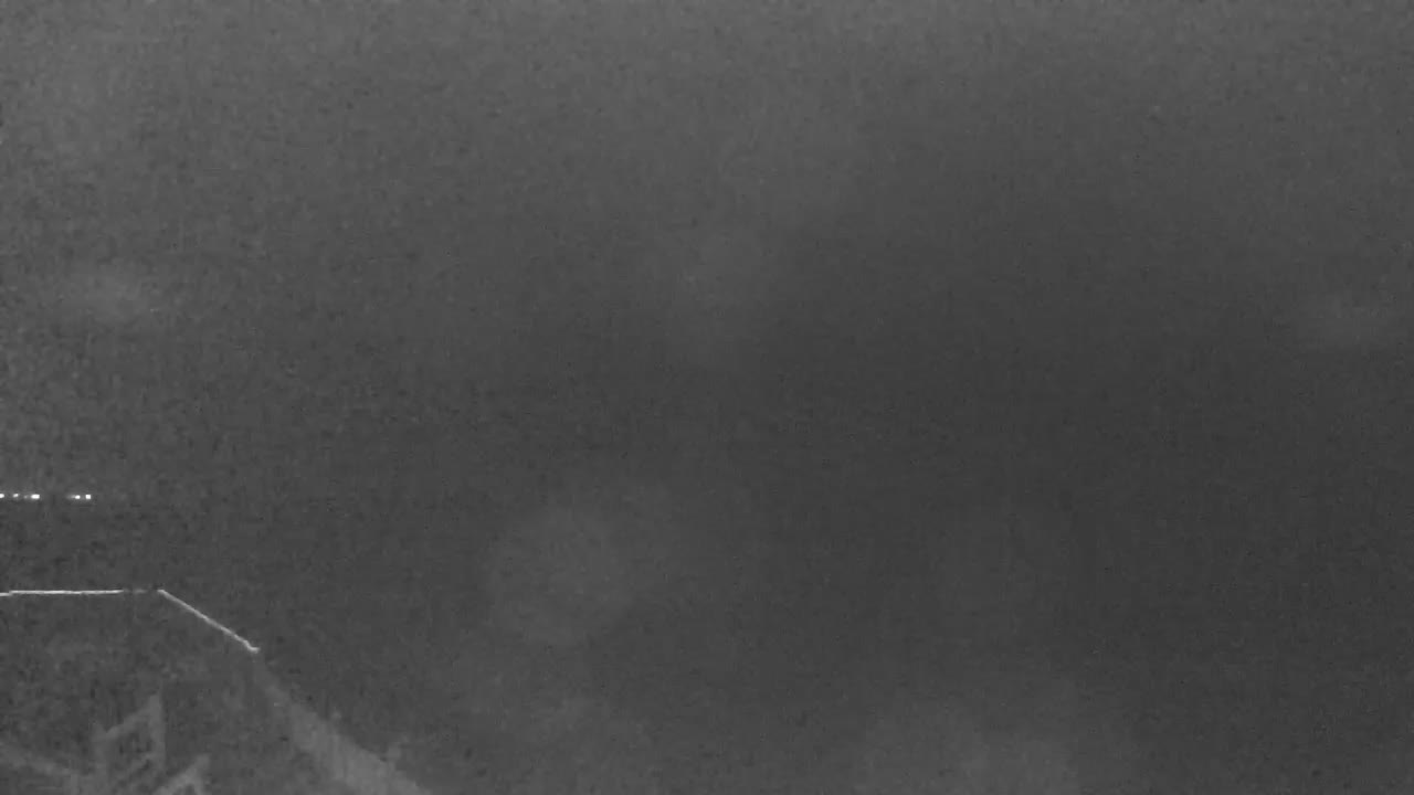 Bolivar Stingaree Restaurant Cam Recording Nicholas (2021)