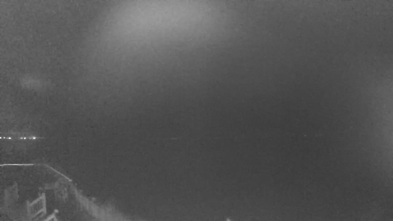 Bolivar Stingaree Restaurant Cam Recording Nicholas (2021)